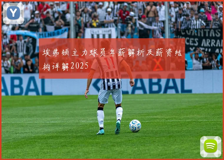 埃弗顿主力球员年薪解析及薪资结构详解2025