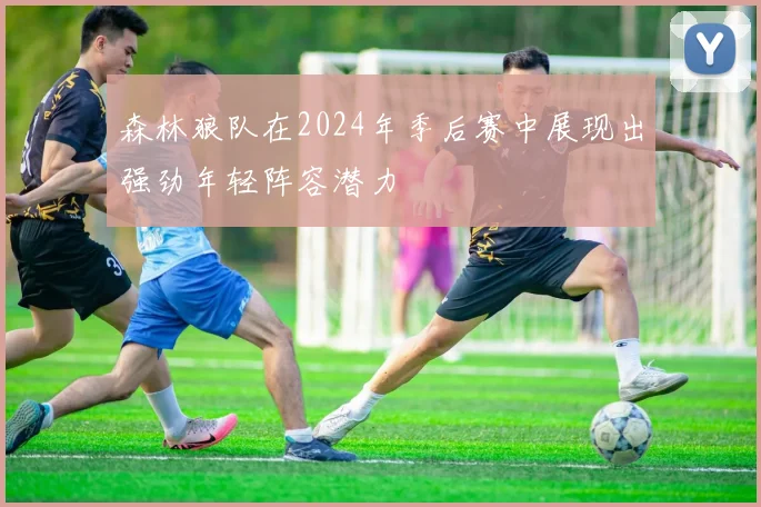 森林狼队在2024年季后赛中展现出强劲年轻阵容潜力
