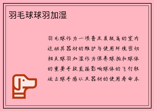 羽毛球球羽加湿